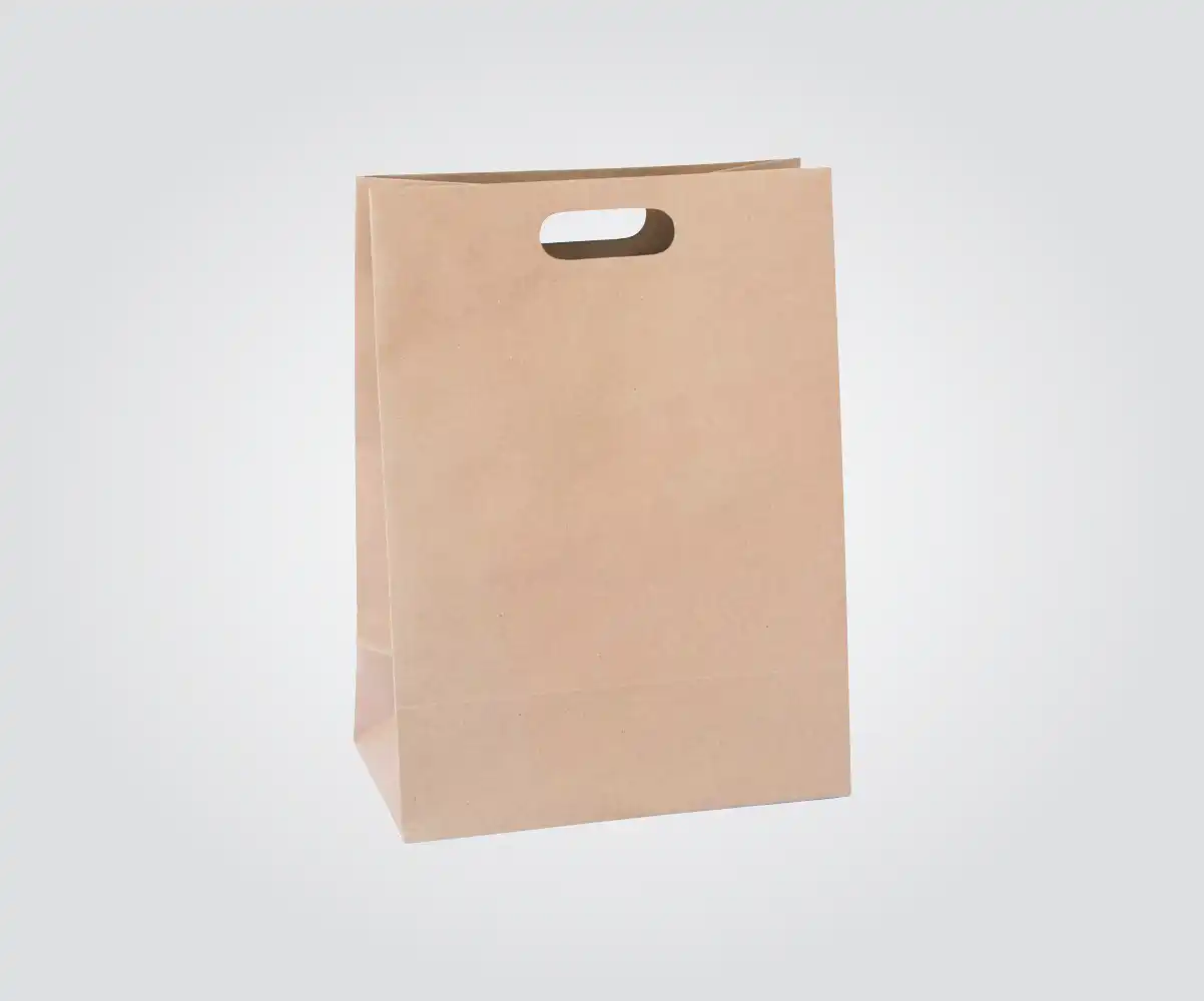 BOLSAS CON ASA RIÑON